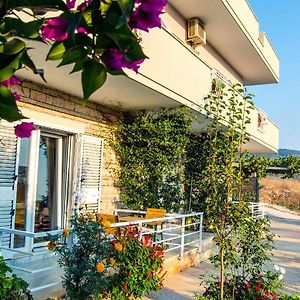 Apartments Villa Paja